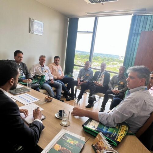 Reunião dos prefeitos com os deputados da bancada mineira. 28/03/23