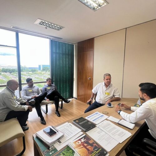 Reunião dos prefeitos com os deputados da bancada mineira. 28/03/23