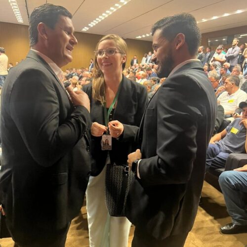 Reunião dos prefeitos com os deputados da bancada mineira. 28/03/23