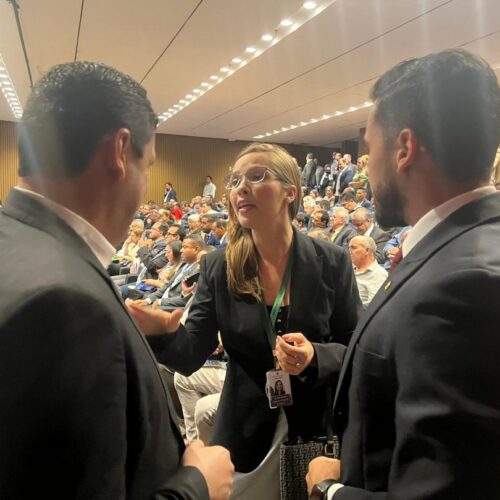 Reunião dos prefeitos com os deputados da bancada mineira. 28/03/23